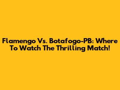 Flamengo Vs. Botafogo-PB: Where To Watch The Thrilling Match!