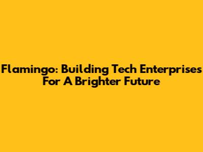 Flamingo: Building Tech Enterprises For A Brighter Future