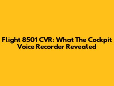 Flight 8501 CVR: What The Cockpit Voice Recorder Revealed