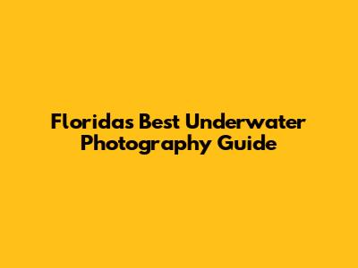 Florida's Best Underwater Photography Guide