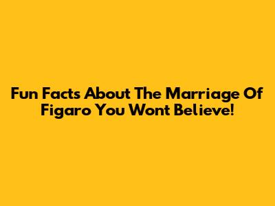Fun Facts About 'The Marriage Of Figaro' You Won't Believe!