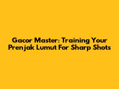 Gacor Master: Training Your Prenjak Lumut For Sharp Shots
