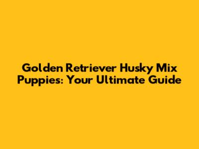 Golden Retriever Husky Mix Puppies: Your Ultimate Guide