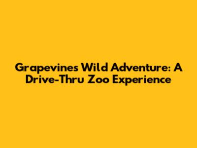 Grapevine's Wild Adventure: A Drive-Thru Zoo Experience