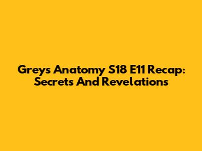 Grey's Anatomy S18 E11 Recap: Secrets And Revelations