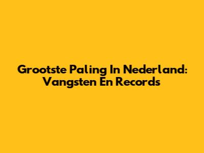 Grootste Paling In Nederland: Vangsten En Records