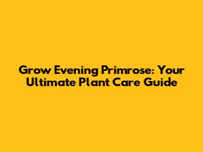 Grow Evening Primrose: Your Ultimate Plant Care Guide