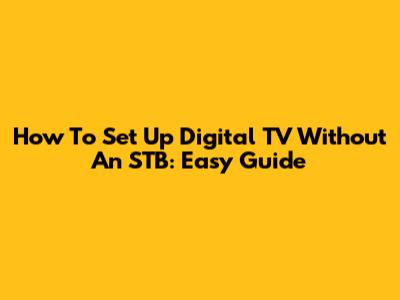How To Set Up Digital TV Without An STB: Easy Guide