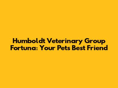 Humboldt Veterinary Group Fortuna: Your Pet's Best Friend