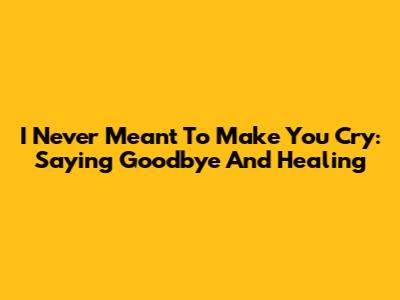 I Never Meant To Make You Cry: Saying Goodbye And Healing