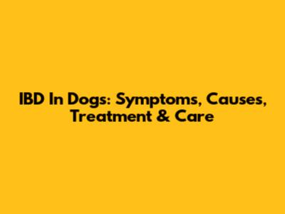 IBD In Dogs: Symptoms, Causes, Treatment & Care