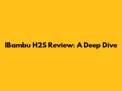 IBambu H2S Review: A Deep Dive