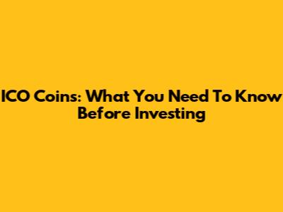ICO Coins: What You Need To Know Before Investing