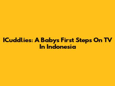 ICuddlies: A Baby's First Steps On TV In Indonesia