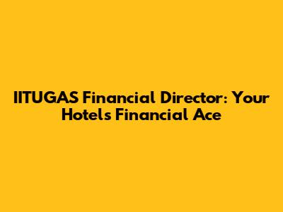 IITUGAS Financial Director: Your Hotel's Financial Ace