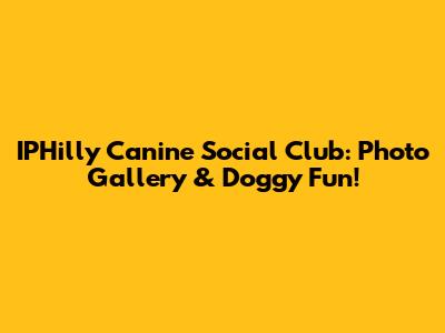 IPHilly Canine Social Club: Photo Gallery & Doggy Fun!
