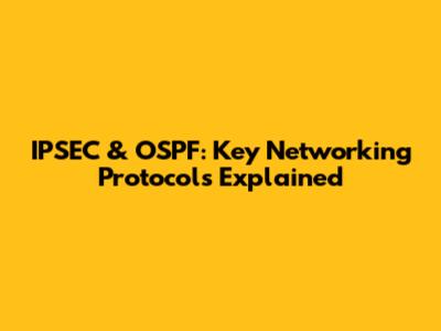 IPSEC & OSPF: Key Networking Protocols Explained