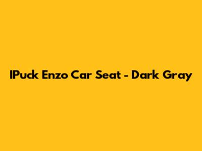 IPuck Enzo Car Seat - Dark Gray