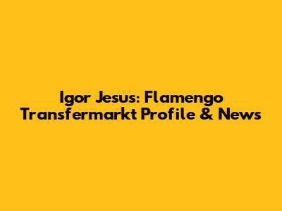 Igor Jesus: Flamengo Transfermarkt Profile & News
