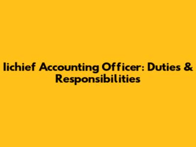 Iichief Accounting Officer: Duties & Responsibilities