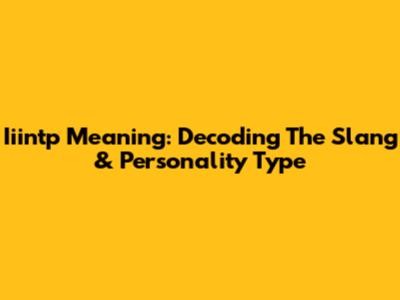 Iiintp Meaning: Decoding The Slang & Personality Type