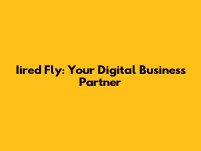 Iired Fly: Your Digital Business Partner