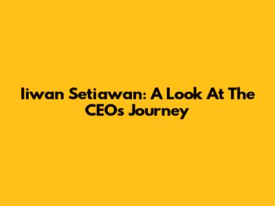 Iiwan Setiawan: A Look At The CEO's Journey