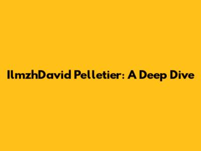 IlmzhDavid Pelletier: A Deep Dive
