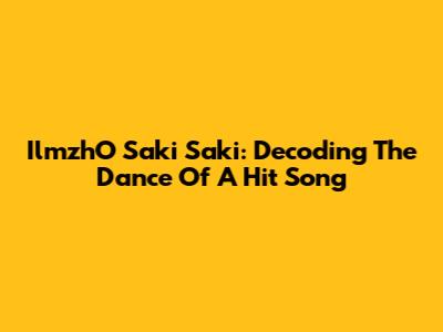 IlmzhO Saki Saki: Decoding The Dance Of A Hit Song