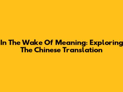 In The Wake Of Meaning: Exploring The Chinese Translation