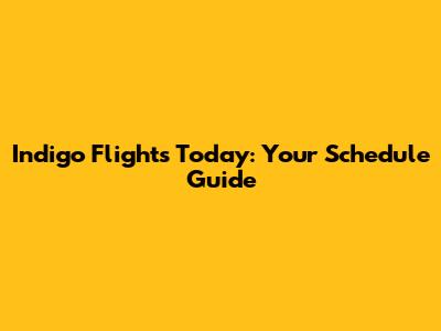 Indigo Flights Today: Your Schedule Guide