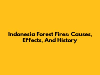 Indonesia Forest Fires: Causes, Effects, And History