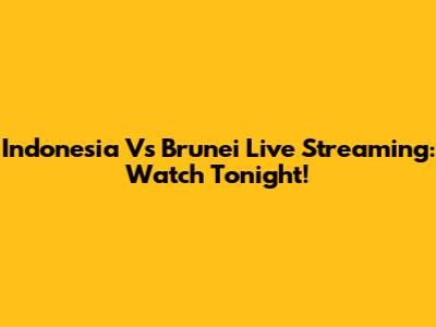 Indonesia Vs Brunei Live Streaming: Watch Tonight!