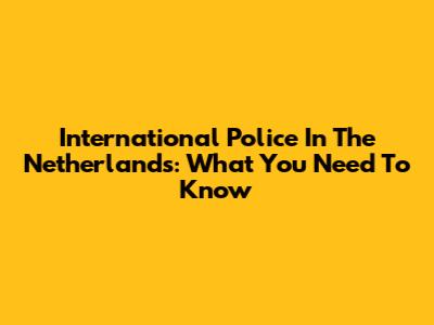 International Police In The Netherlands: What You Need To Know