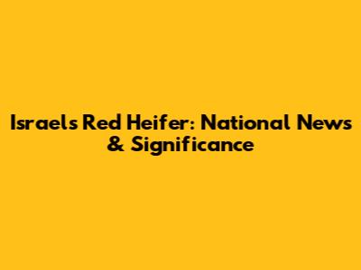 Israel's Red Heifer: National News & Significance
