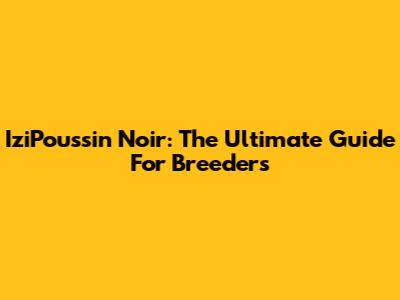 IziPoussin Noir: The Ultimate Guide For Breeders