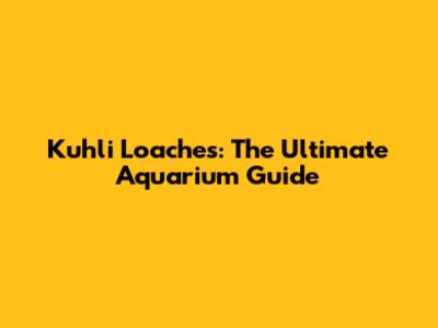 Kuhli Loaches: The Ultimate Aquarium Guide