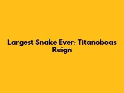 Largest Snake Ever: Titanoboa's Reign