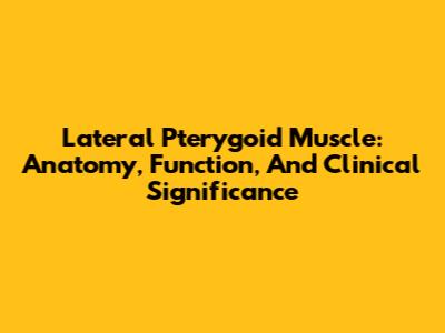 Lateral Pterygoid Muscle: Anatomy, Function, And Clinical Significance