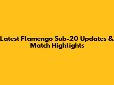 Latest Flamengo Sub-20 Updates & Match Highlights