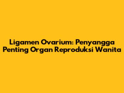 Ligamen Ovarium: Penyangga Penting Organ Reproduksi Wanita