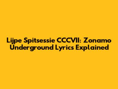 Lijpe Spitsessie CCCVII: Zonamo Underground Lyrics Explained