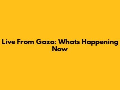 Live From Gaza: What's Happening Now