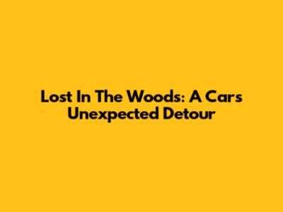 Lost In The Woods: A Car's Unexpected Detour