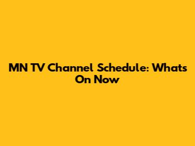 MN TV Channel Schedule: What's On Now