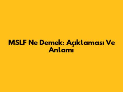 MSLF Ne Demek: Açıklaması Ve Anlamı