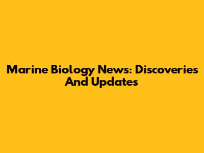Marine Biology News: Discoveries And Updates