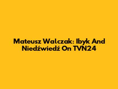 Mateusz Walczak: Ibyk And Niedźwiedź On TVN24