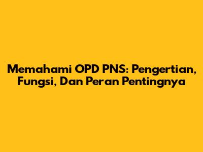 Memahami OPD PNS: Pengertian, Fungsi, Dan Peran Pentingnya