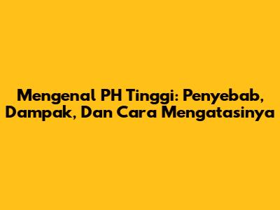 Mengenal PH Tinggi: Penyebab, Dampak, Dan Cara Mengatasinya